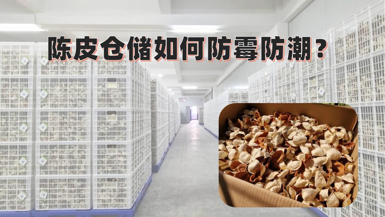 陳皮倉儲(chǔ)長(zhǎng)霉發(fā)霉損失大？百適涂無機(jī)陶瓷涂料打造“零霉變”防護(hù)層