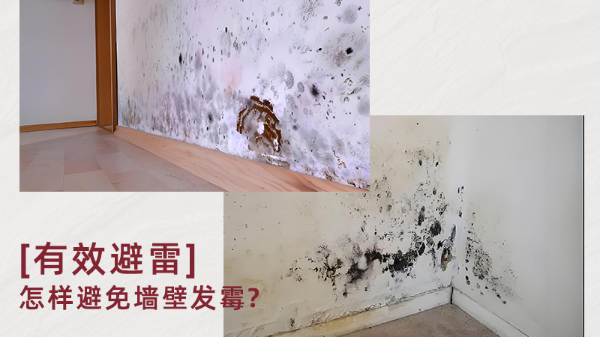 無機(jī)涂料真能防霉嗎？防霉原理是什么？百適涂無機(jī)涂料為何值得推薦？