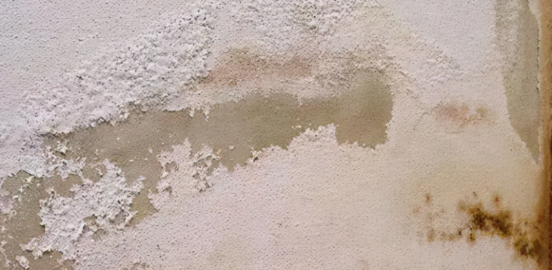 wechat_2025-08-08_163837_347